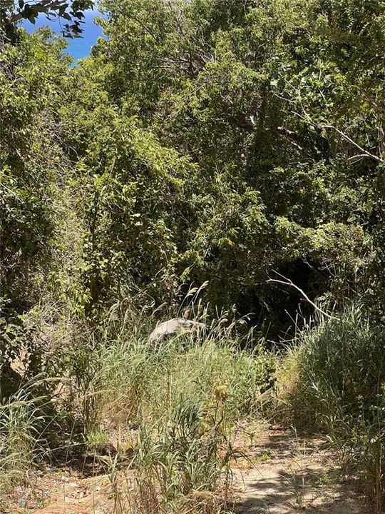 For Sale: $175,000 (3.74 acres)