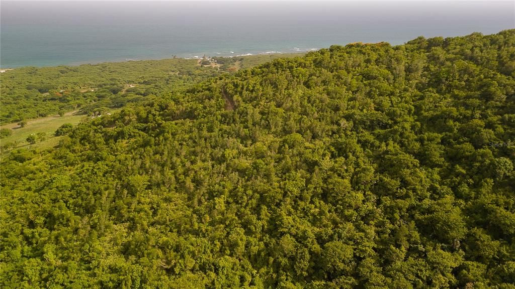 For Sale: $175,000 (3.74 acres)