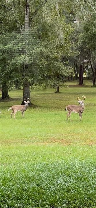 For Sale: $899,995 (3 beds, 2 baths, 2597 Square Feet)