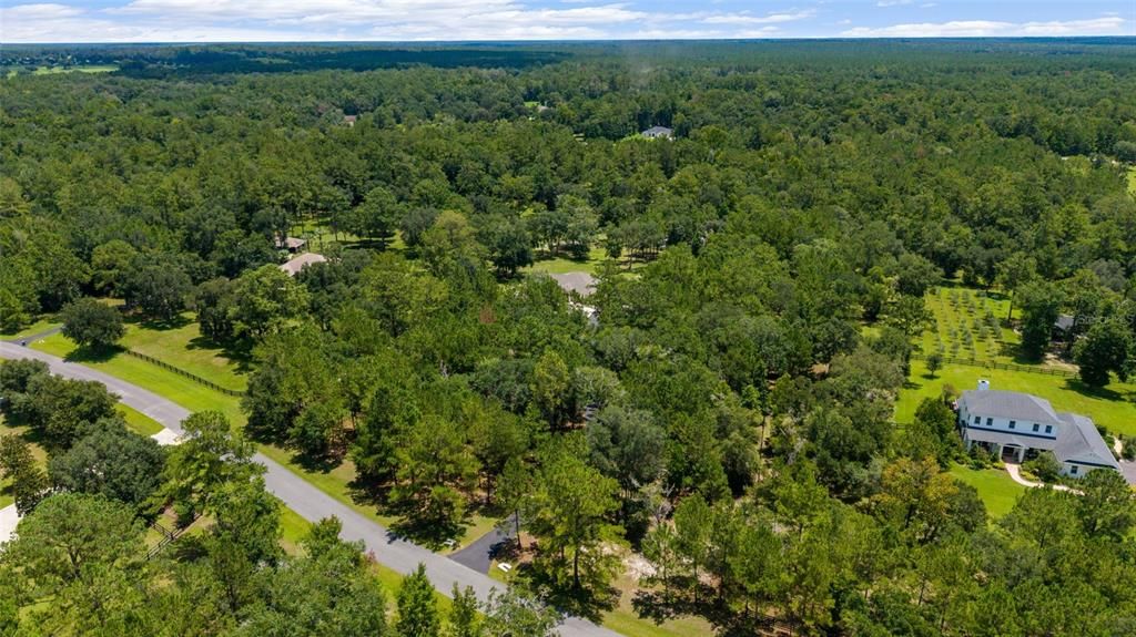 For Sale: $899,995 (3 beds, 2 baths, 2597 Square Feet)