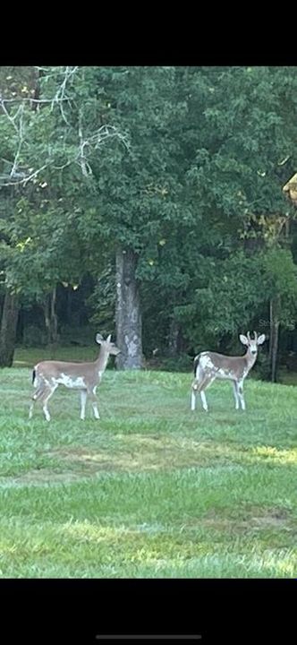 For Sale: $899,995 (3 beds, 2 baths, 2597 Square Feet)