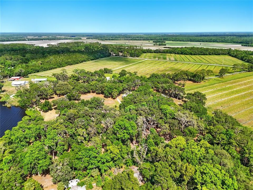 待售: $1,467,350 (4 贝兹, 3 浴室, 3855 平方英尺)