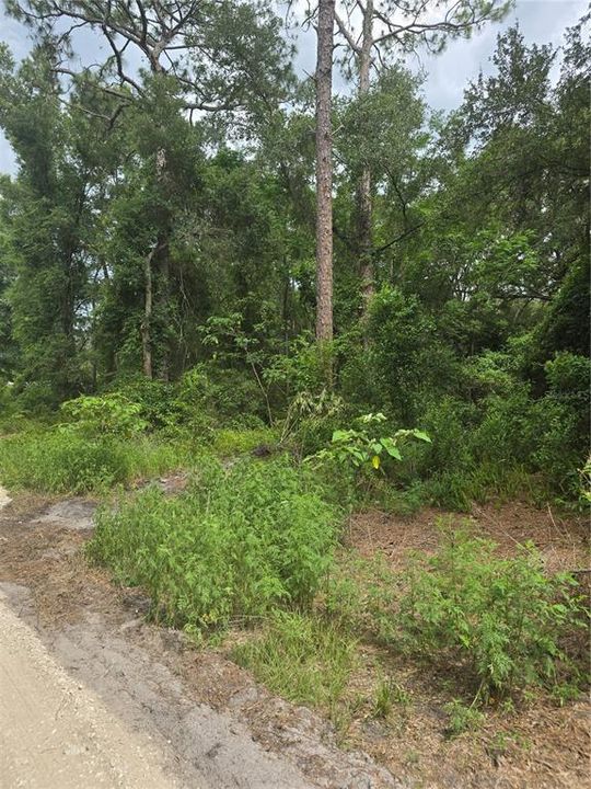 Recently Sold: $24,900 (0.42 acres)