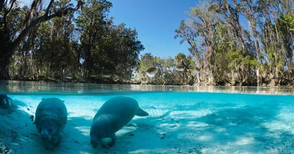 Active With Contract: $210,000 (2 beds, 2 baths, 1740 Square Feet)