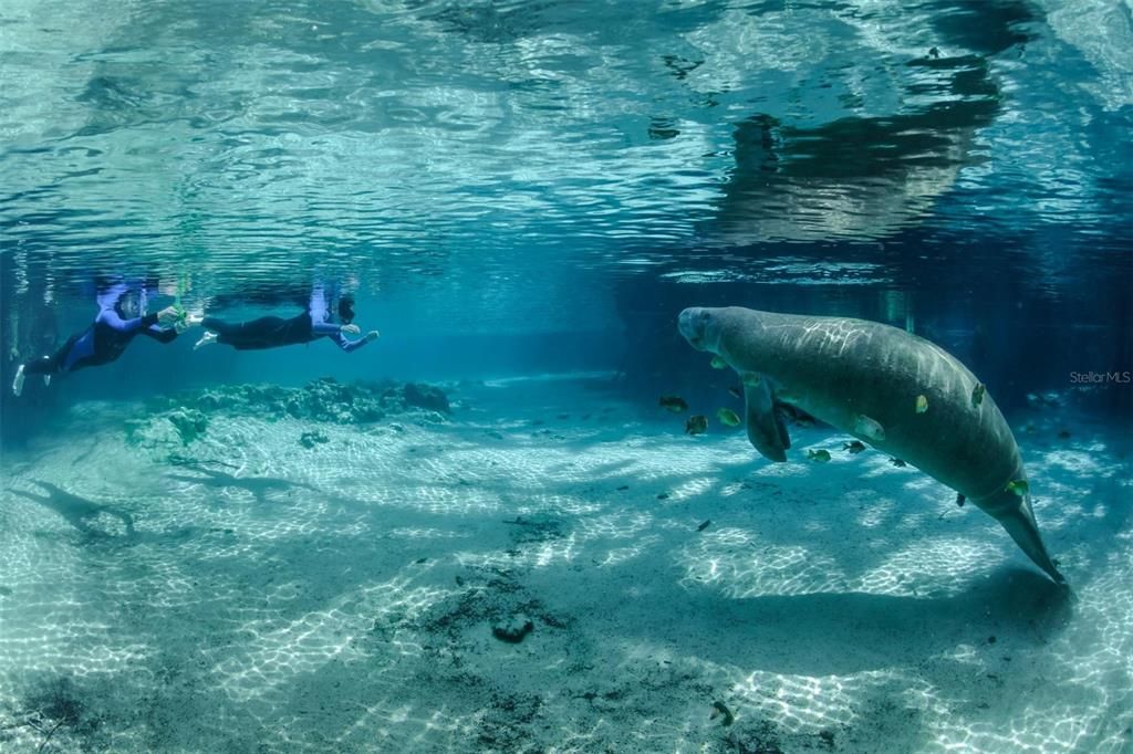 Active With Contract: $210,000 (2 beds, 2 baths, 1740 Square Feet)