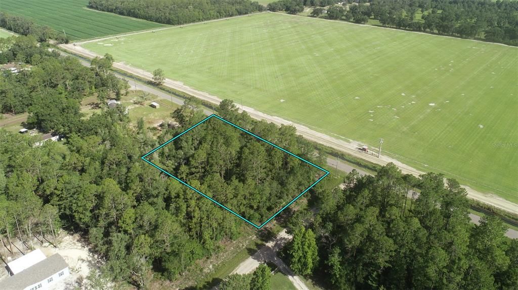 For Sale: $36,000 (1.32 acres)