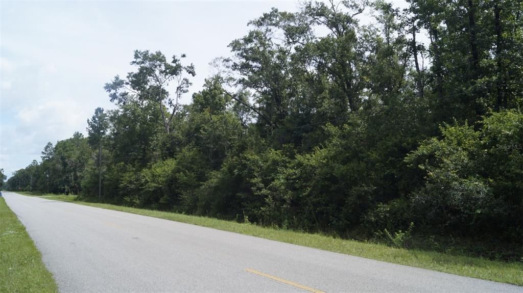 待售: $31,000 (1.10 acres)