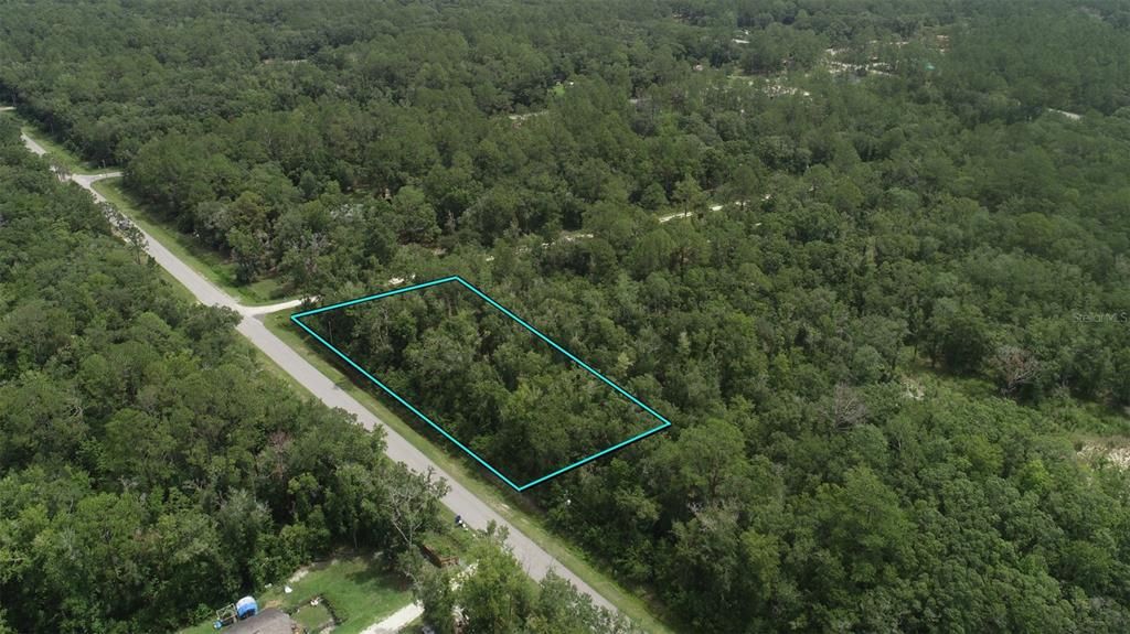 待售: $31,000 (1.10 acres)