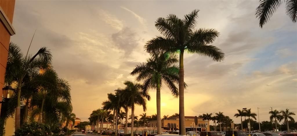 Activo con contrato: $25,000 (0.26 acres)