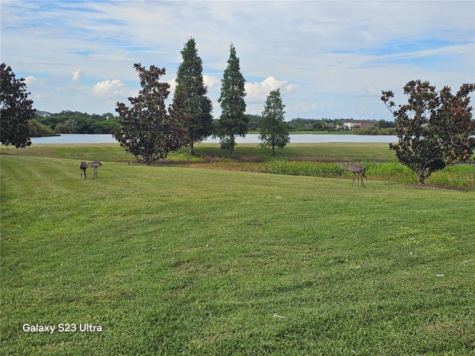 合同活跃: $2,175 (3 贝兹, 2 浴室, 1496 平方英尺)