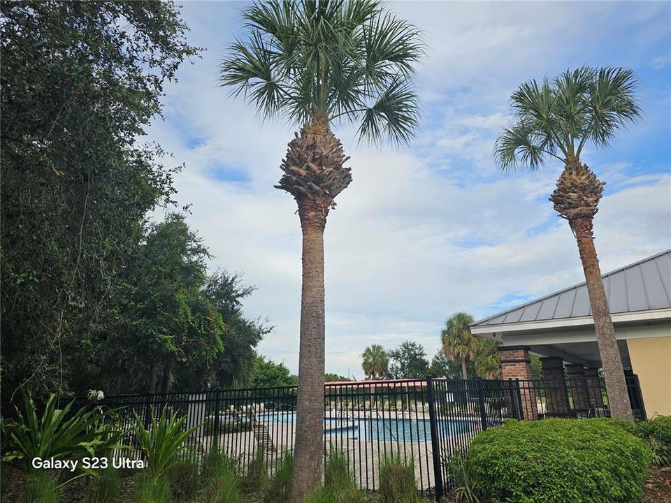 合同活跃: $2,175 (3 贝兹, 2 浴室, 1496 平方英尺)