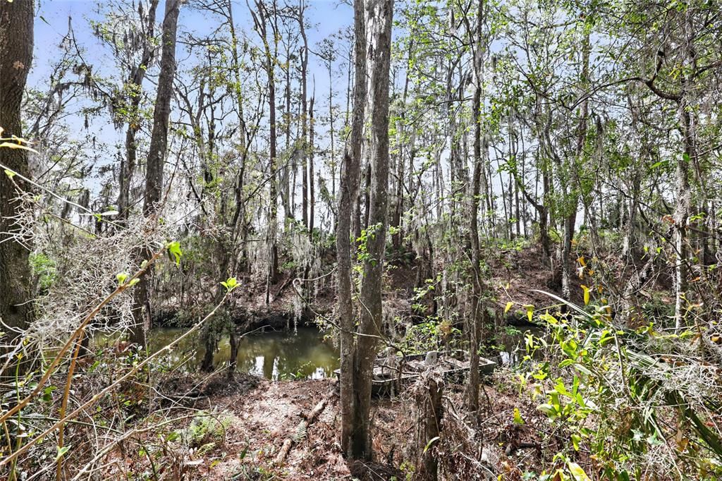 待售: $895,000 (6 贝兹, 3 浴室, 3188 平方英尺)