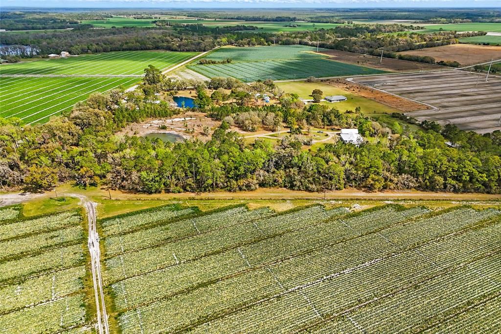 待售: $895,000 (6 贝兹, 3 浴室, 3188 平方英尺)