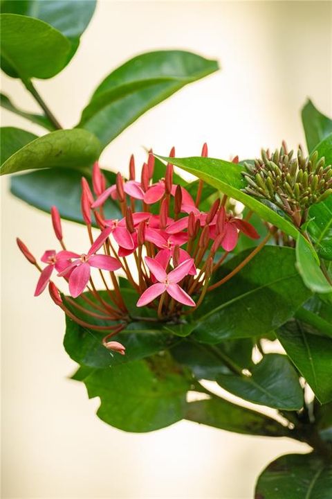 待售: $100,000 (1 贝兹, 1 浴室, 704 平方英尺)