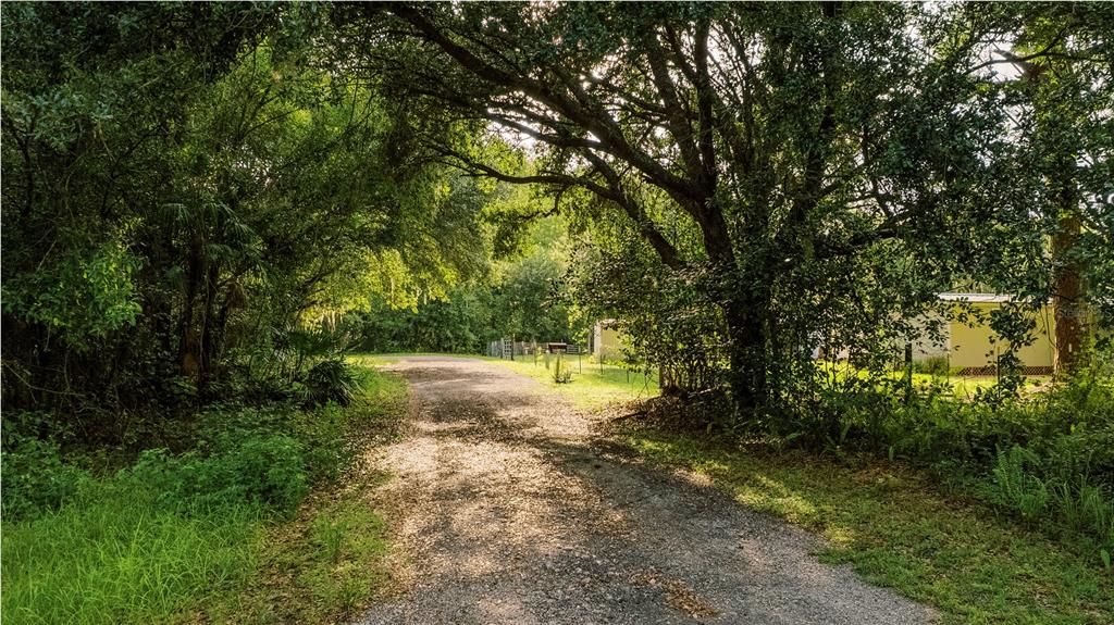 待售: $100,000 (1 贝兹, 1 浴室, 704 平方英尺)