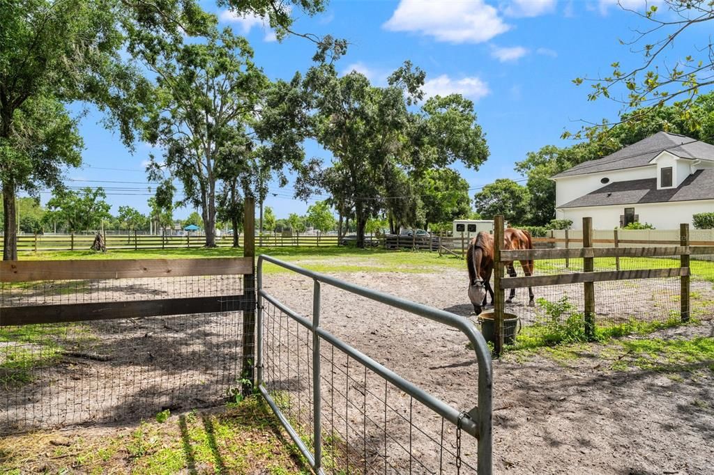 En Venta: $2,299,000 (6 camas, 5 baños, 6200 Pies cuadrados)