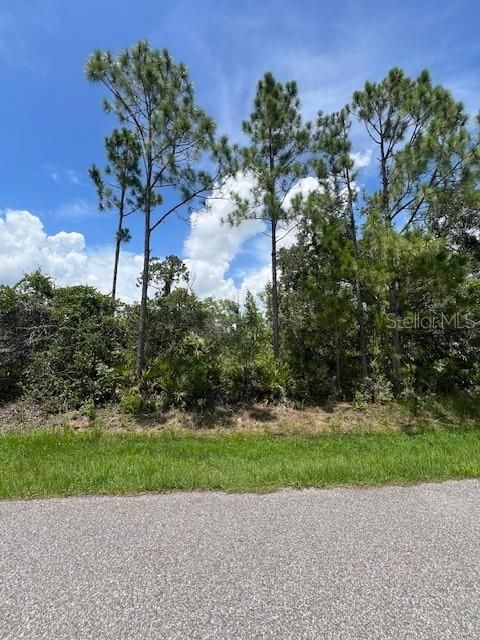 En Venta: $19,999 (0.23 acres)