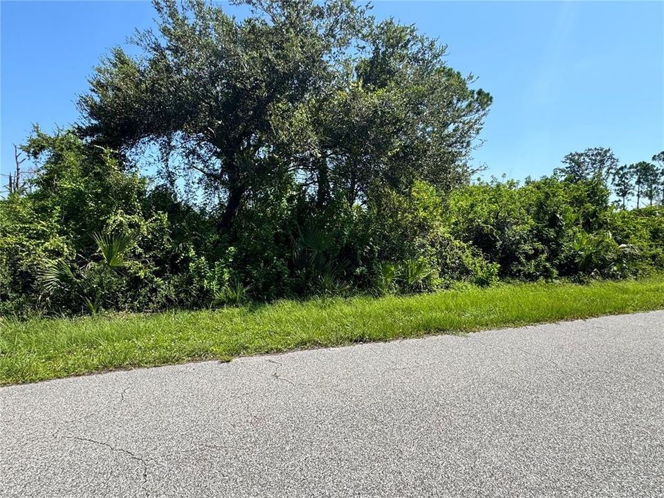 Activo con contrato: $18,000 (0.23 acres)