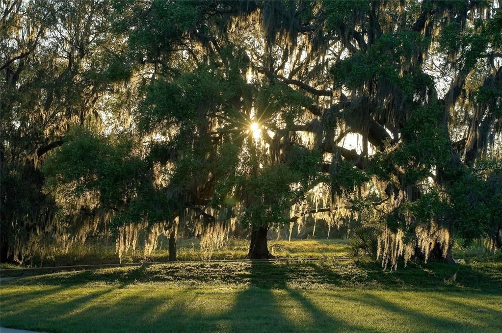 待售: $2,495,000 (4 贝兹, 4 浴室, 5426 平方英尺)