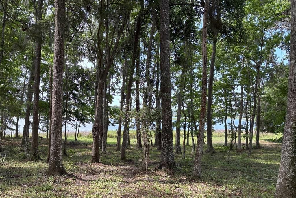 待售: $610,000 (9.96 acres)