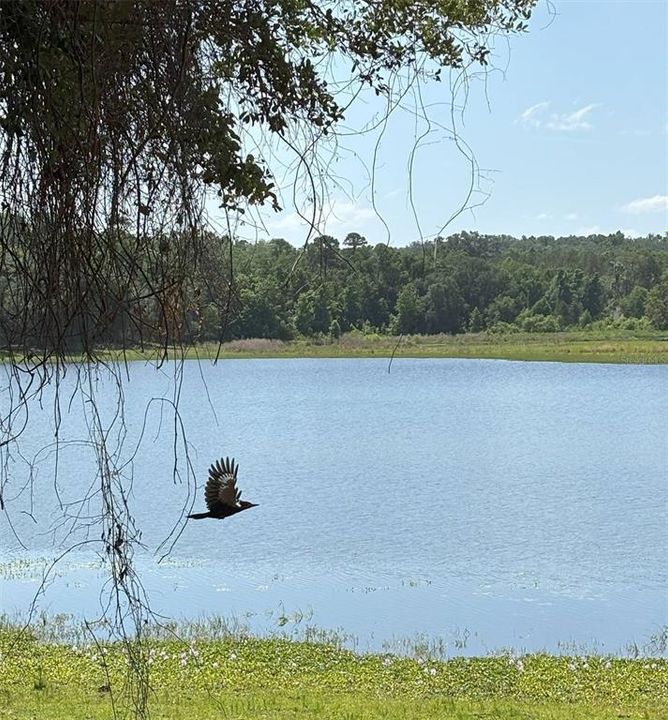 待售: $610,000 (9.96 acres)