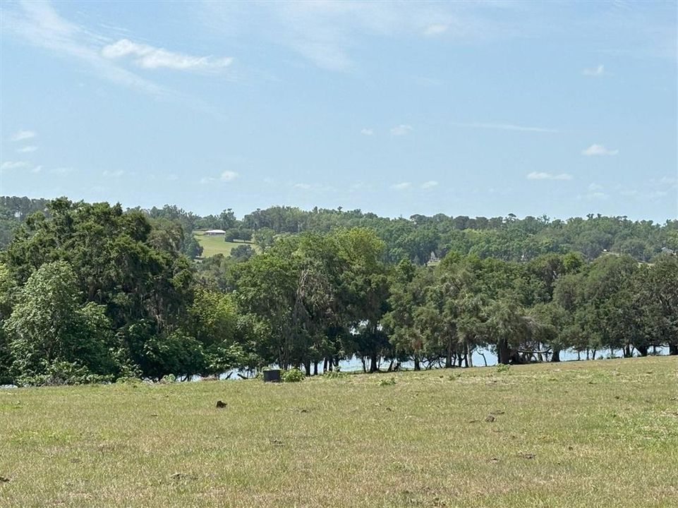 待售: $610,000 (9.96 acres)