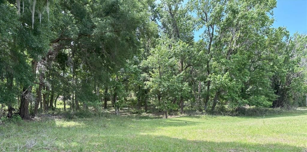 待售: $610,000 (9.96 acres)