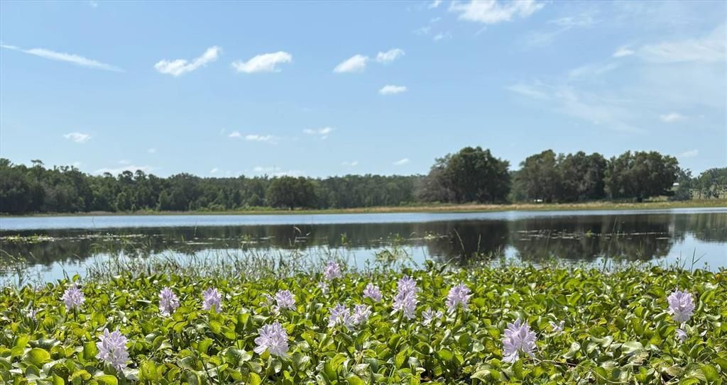 待售: $610,000 (9.96 acres)