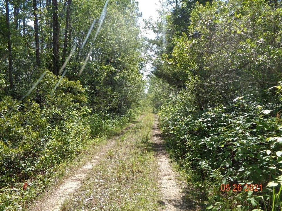 Недавно продано: $57,200 (1.25 acres)