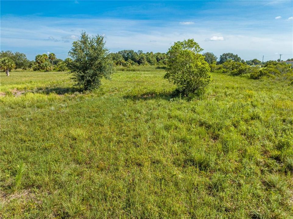 En Venta: $55,000 (1.25 acres)