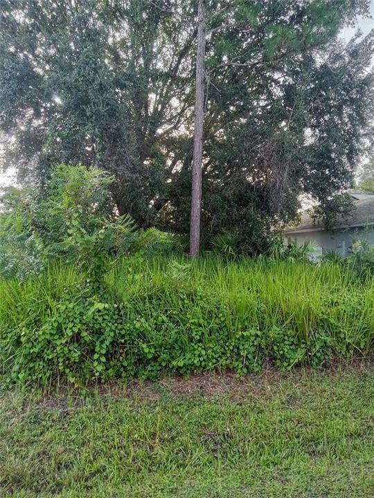 На продажу: $48,000 (0.22 acres)