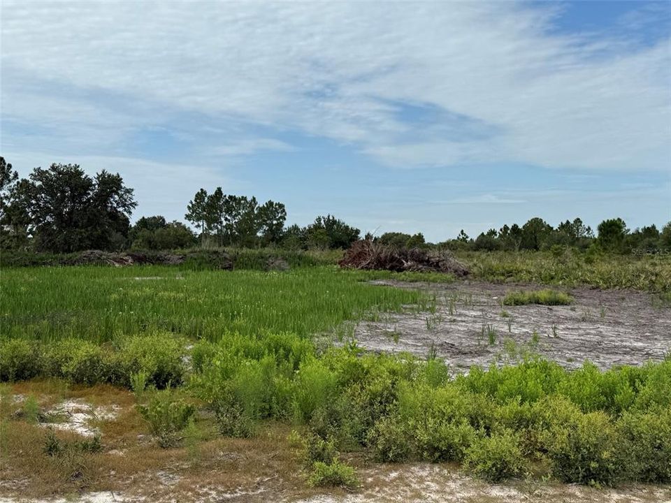 En Venta: $29,900 (1.25 acres)