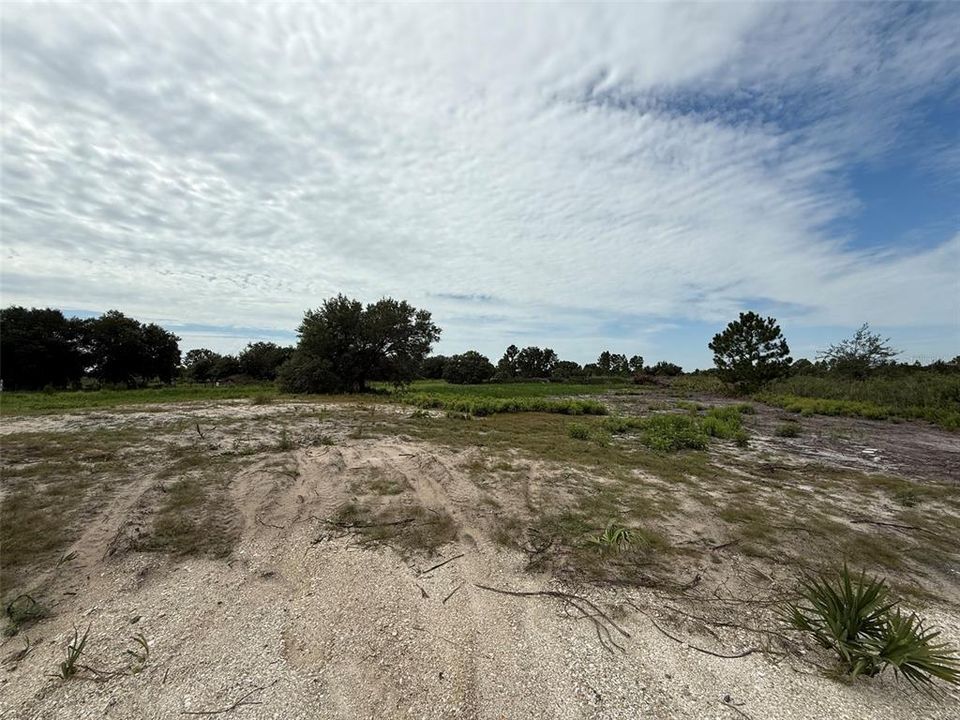 En Venta: $29,900 (1.25 acres)