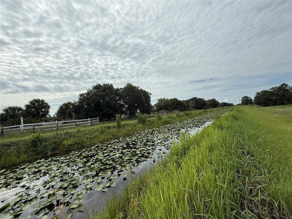 En Venta: $29,900 (1.25 acres)