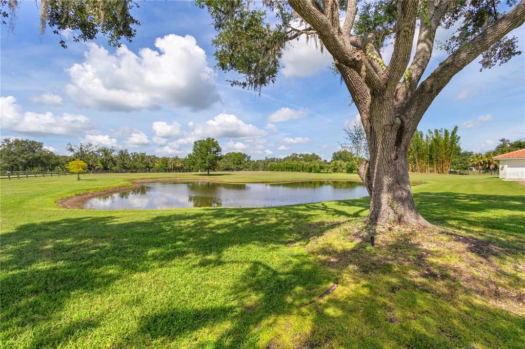 待售: $1,395,000 (3 贝兹, 3 浴室, 3550 平方英尺)