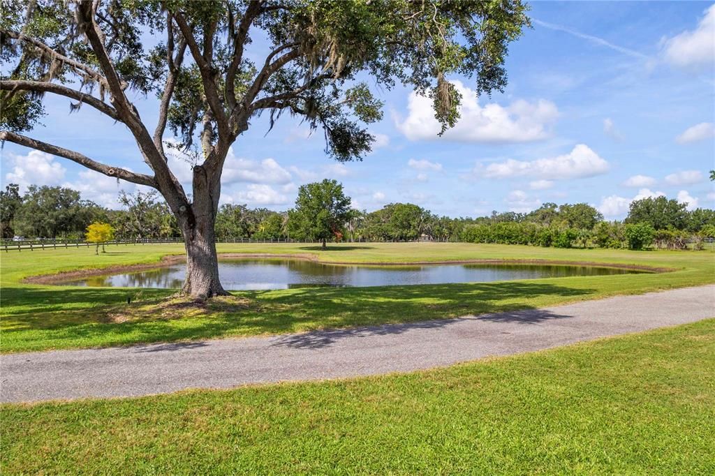 待售: $1,395,000 (3 贝兹, 3 浴室, 3550 平方英尺)