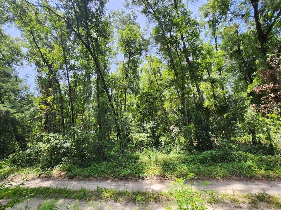 Недавно продано: $11,500 (0.26 acres)