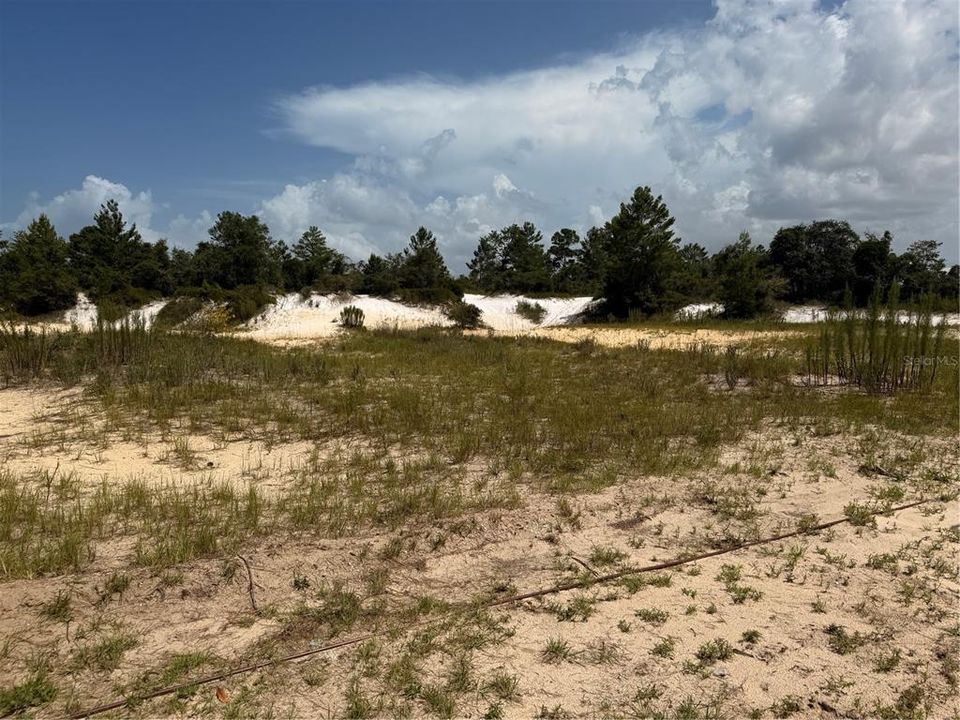 待售: $1,800,000 (0 贝兹, 0 浴室, 0 平方英尺)