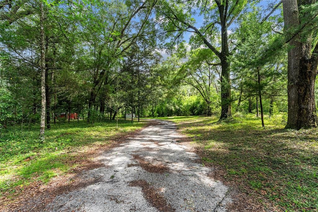 For Sale: $400,000 (7.05 acres)