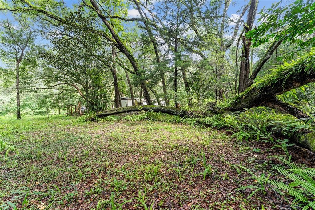 For Sale: $400,000 (7.05 acres)