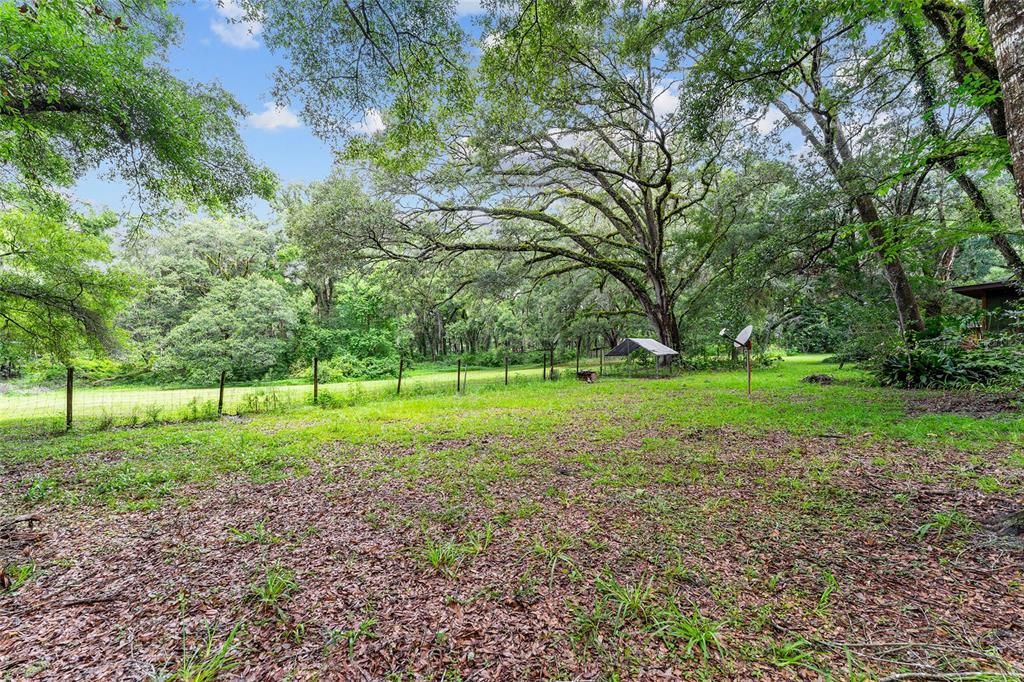 For Sale: $400,000 (7.05 acres)