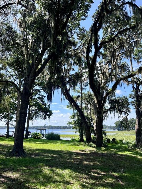 待售: $485,000 (2 贝兹, 1 浴室, 1372 平方英尺)