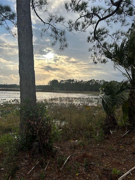 For Sale: $50,000 (1.82 acres)