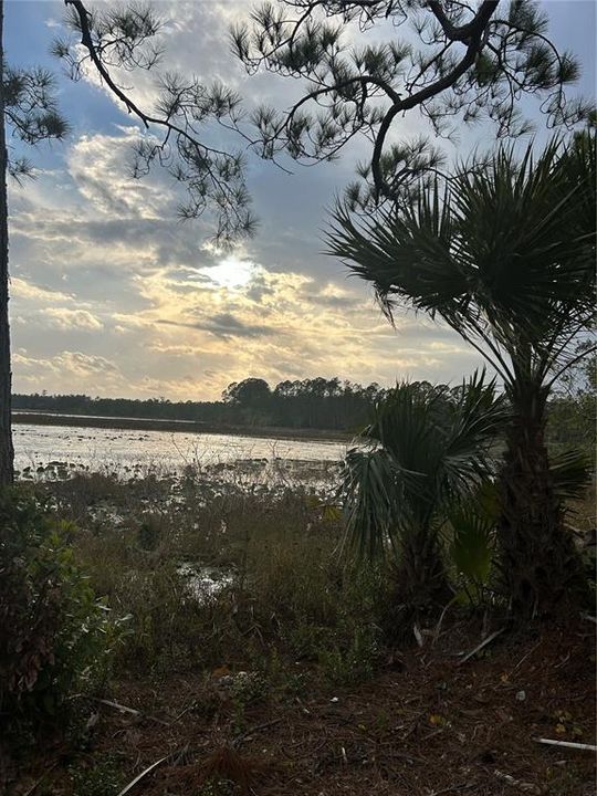 For Sale: $50,000 (1.82 acres)