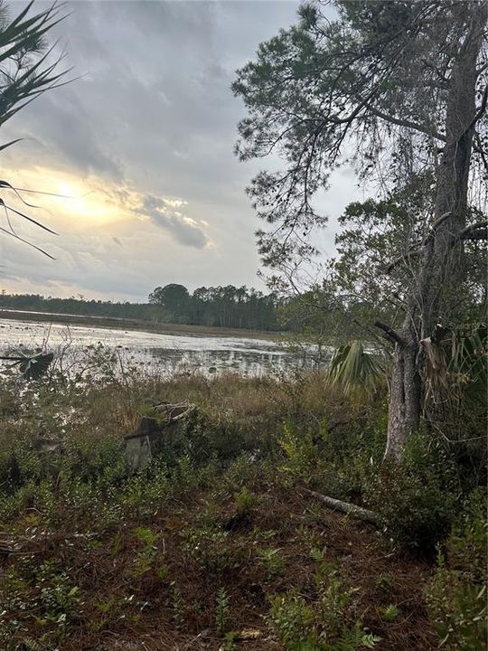 For Sale: $50,000 (1.82 acres)