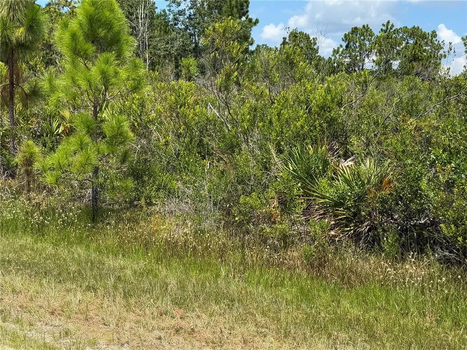 На продажу: $33,000 (0.60 acres)