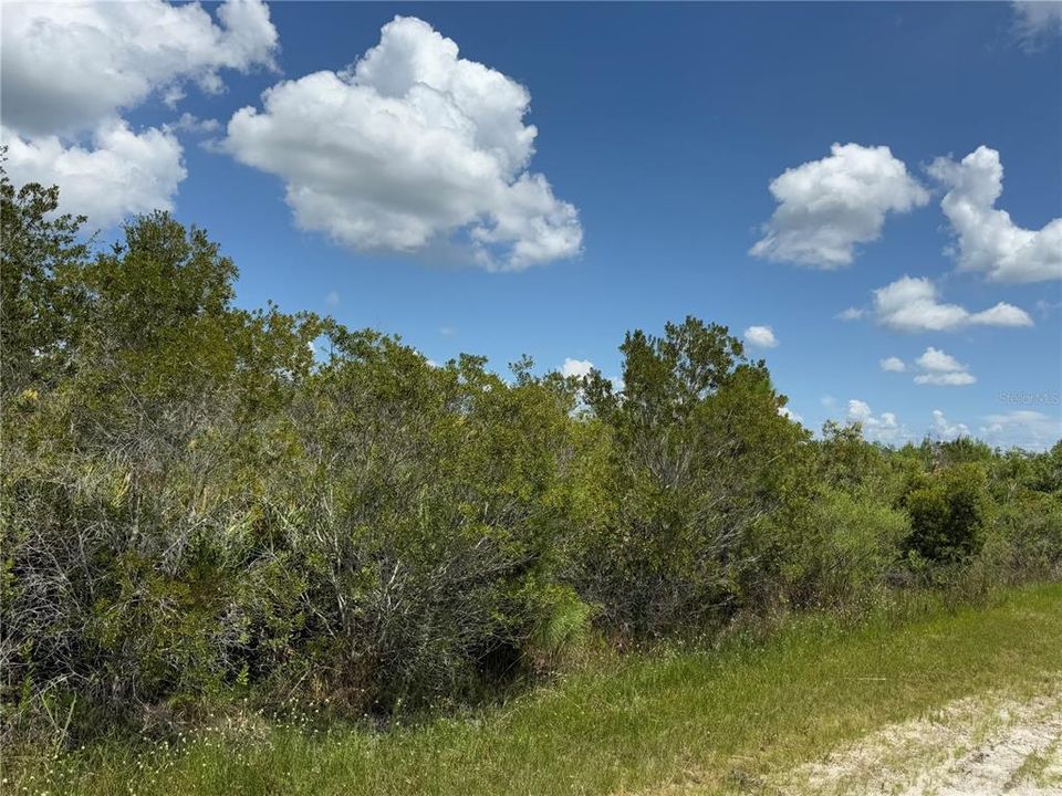 На продажу: $33,000 (0.60 acres)