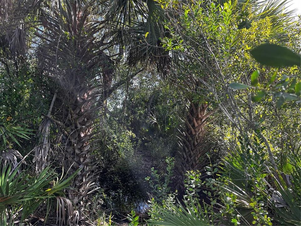 En Venta: $214,000 (10.00 acres)