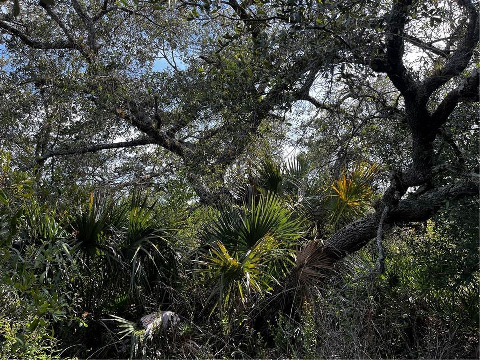 En Venta: $214,000 (10.00 acres)