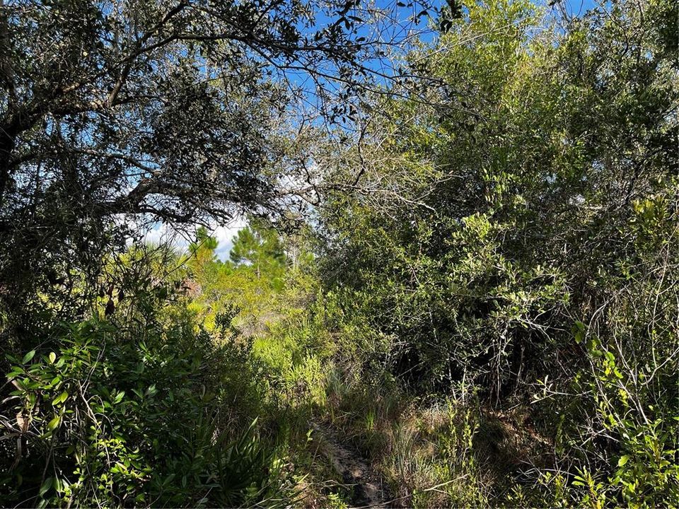 En Venta: $214,000 (10.00 acres)